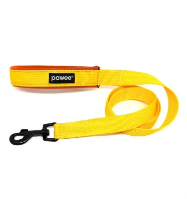 Guinzaglio Yellow Fox